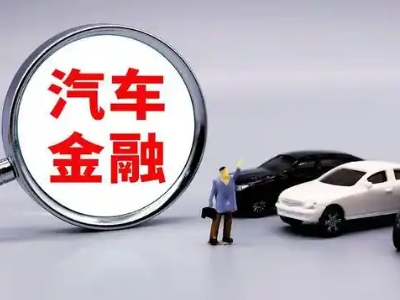 新县押车贷款不是本人可以么?